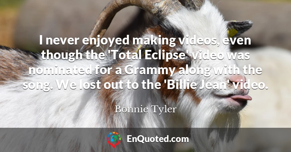 I never enjoyed making videos, even though the 'Total Eclipse' video was nominated for a Grammy along with the song. We lost out to the 'Billie Jean' video.