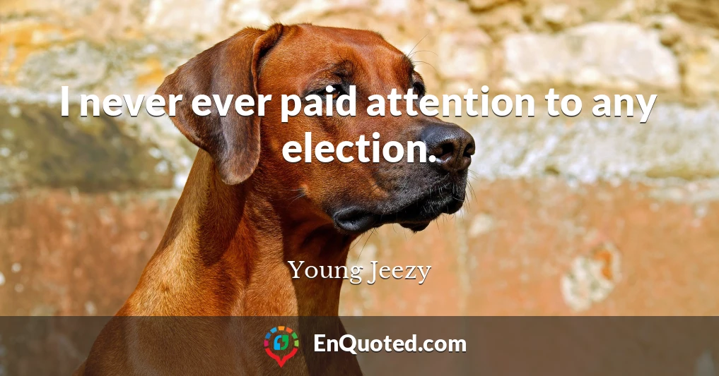 I never ever paid attention to any election.