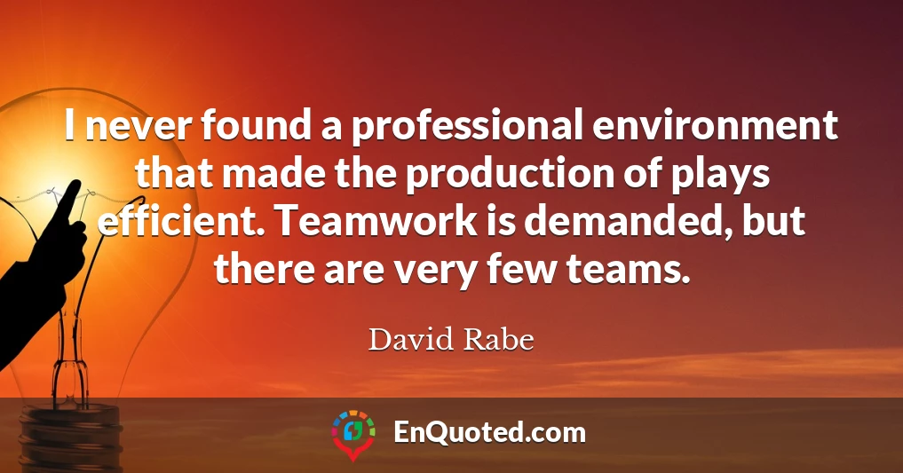 I never found a professional environment that made the production of plays efficient. Teamwork is demanded, but there are very few teams.