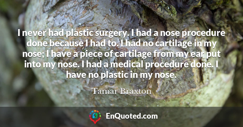 I never had plastic surgery. I had a nose procedure done because I had to. I had no cartilage in my nose; I have a piece of cartilage from my ear put into my nose. I had a medical procedure done. I have no plastic in my nose.