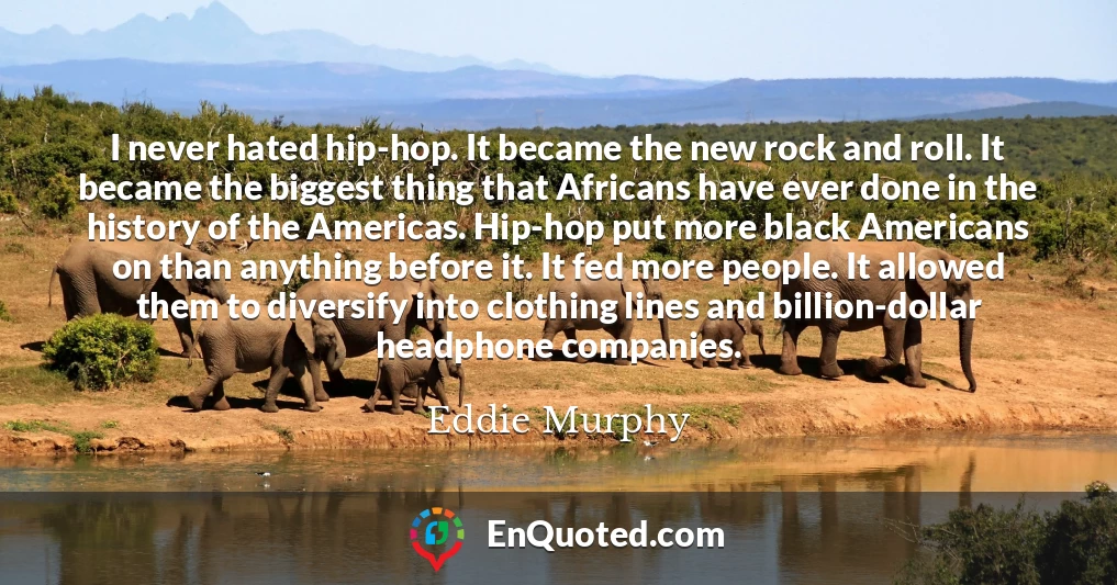 I never hated hip-hop. It became the new rock and roll. It became the biggest thing that Africans have ever done in the history of the Americas. Hip-hop put more black Americans on than anything before it. It fed more people. It allowed them to diversify into clothing lines and billion-dollar headphone companies.