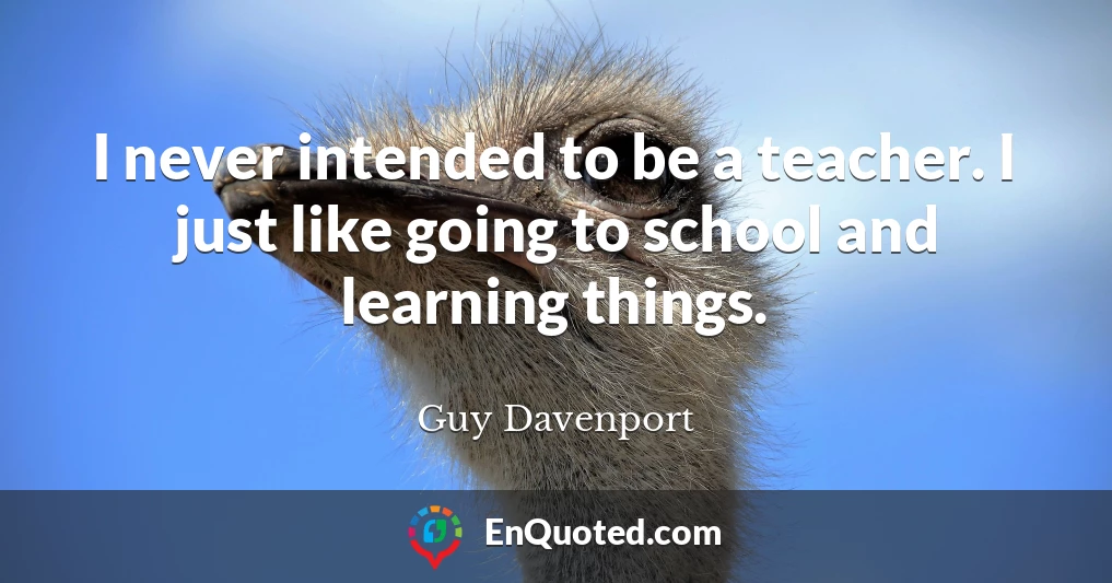 I never intended to be a teacher. I just like going to school and learning things.
