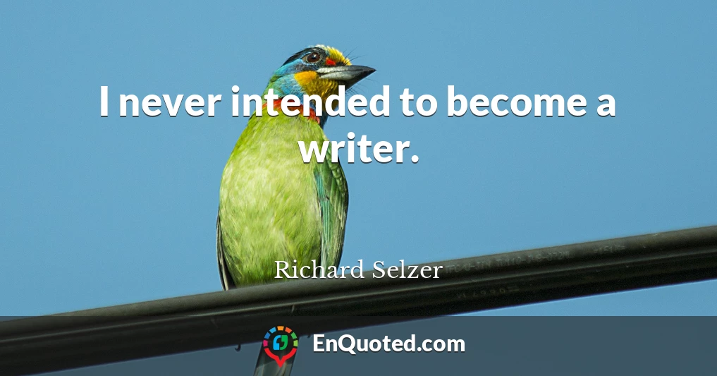 I never intended to become a writer.