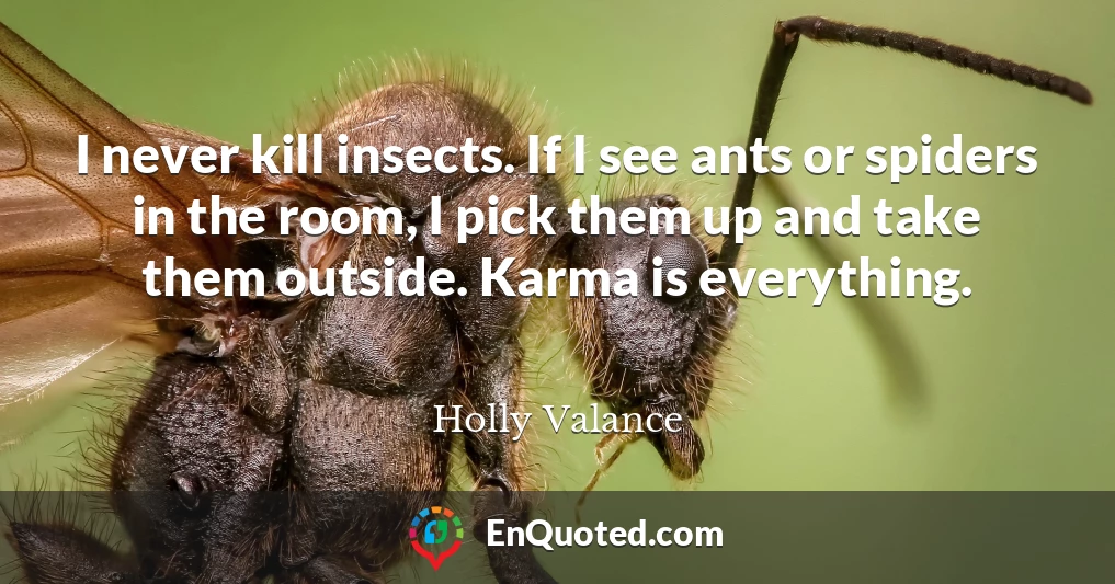 I never kill insects. If I see ants or spiders in the room, I pick them up and take them outside. Karma is everything.