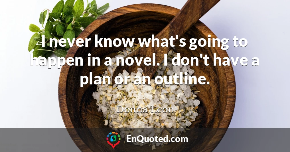 I never know what's going to happen in a novel. I don't have a plan or an outline.