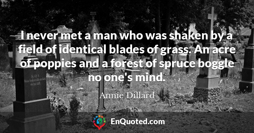 I never met a man who was shaken by a field of identical blades of grass. An acre of poppies and a forest of spruce boggle no one's mind.