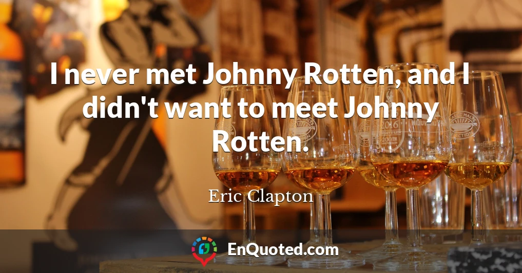 I never met Johnny Rotten, and I didn't want to meet Johnny Rotten.