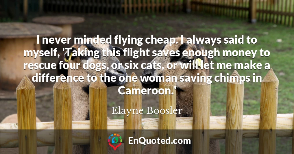 I never minded flying cheap. I always said to myself, 'Taking this flight saves enough money to rescue four dogs, or six cats, or will let me make a difference to the one woman saving chimps in Cameroon.'
