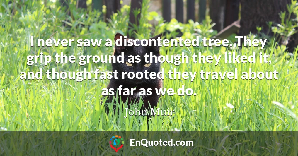 I never saw a discontented tree. They grip the ground as though they liked it, and though fast rooted they travel about as far as we do.