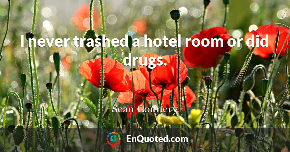 I never trashed a hotel room or did drugs.