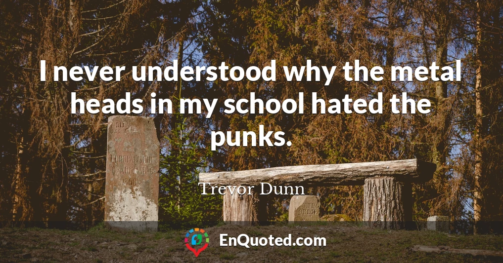I never understood why the metal heads in my school hated the punks.
