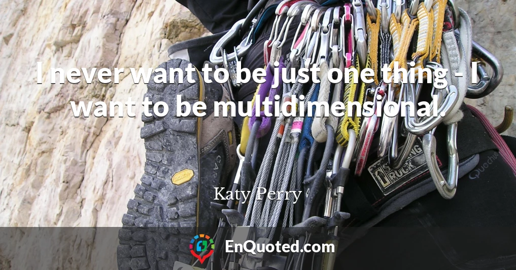 I never want to be just one thing - I want to be multidimensional.