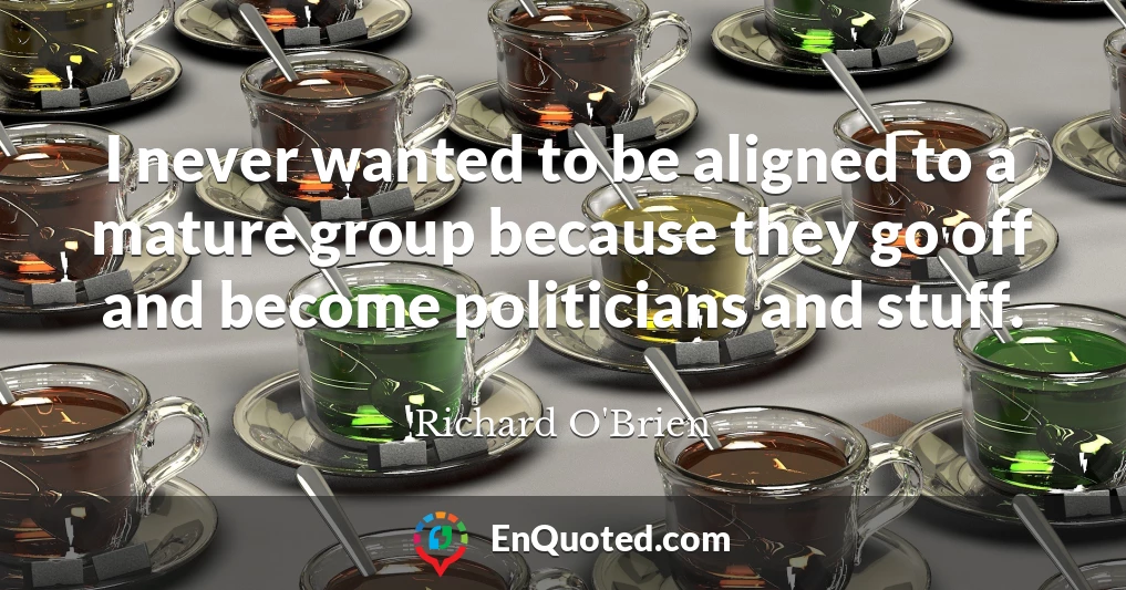 I never wanted to be aligned to a mature group because they go off and become politicians and stuff.
