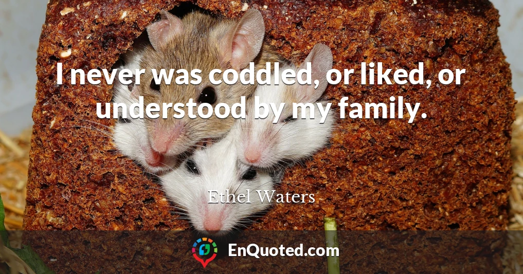 I never was coddled, or liked, or understood by my family.