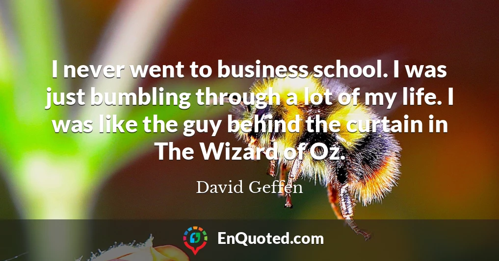 I never went to business school. I was just bumbling through a lot of my life. I was like the guy behind the curtain in The Wizard of Oz.