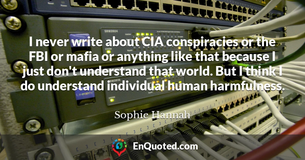 I never write about CIA conspiracies or the FBI or mafia or anything like that because I just don't understand that world. But I think I do understand individual human harmfulness.