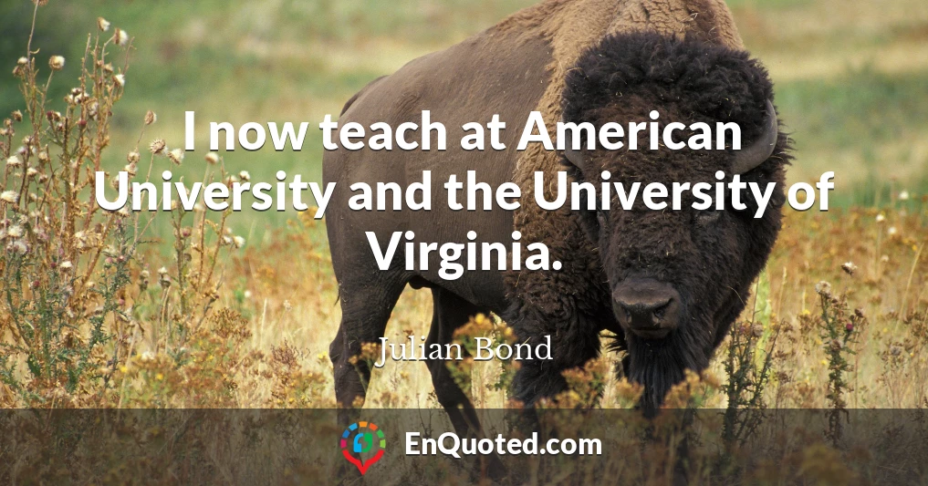 I now teach at American University and the University of Virginia.