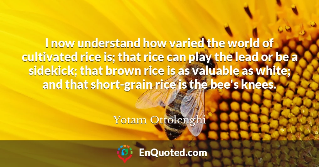 I now understand how varied the world of cultivated rice is; that rice can play the lead or be a sidekick; that brown rice is as valuable as white; and that short-grain rice is the bee's knees.