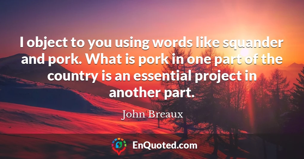 I object to you using words like squander and pork. What is pork in one part of the country is an essential project in another part.