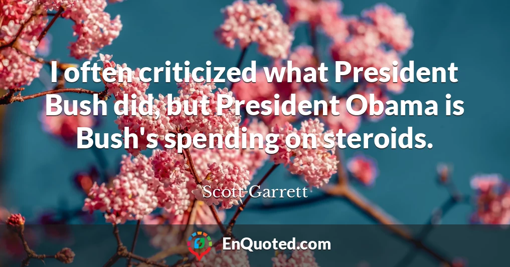 I often criticized what President Bush did, but President Obama is Bush's spending on steroids.