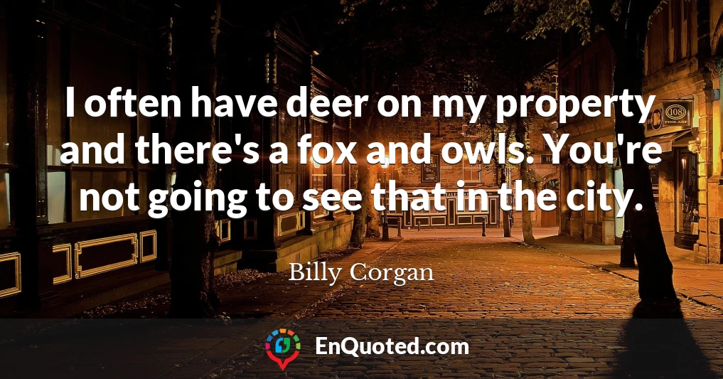 I often have deer on my property and there's a fox and owls. You're not going to see that in the city.