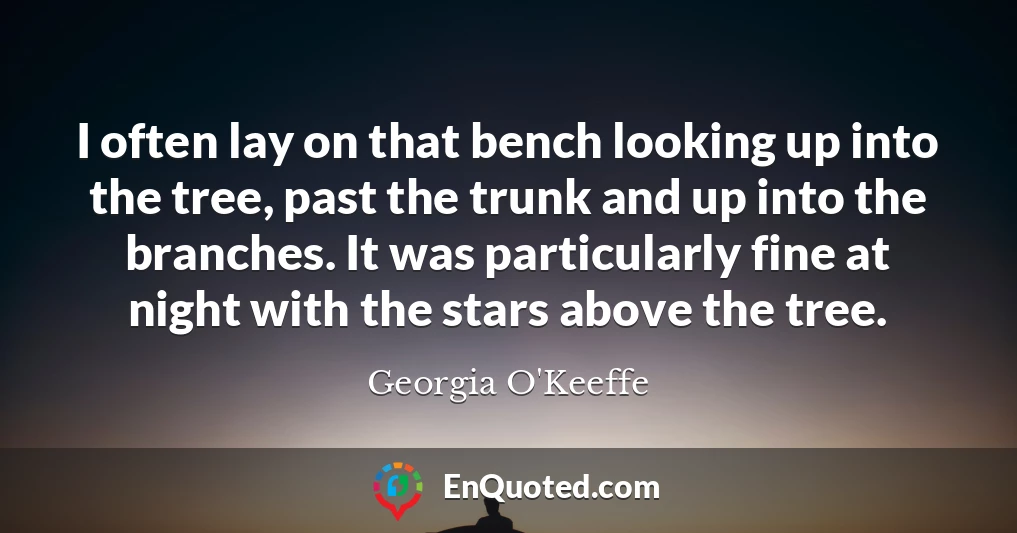 I often lay on that bench looking up into the tree, past the trunk and up into the branches. It was particularly fine at night with the stars above the tree.