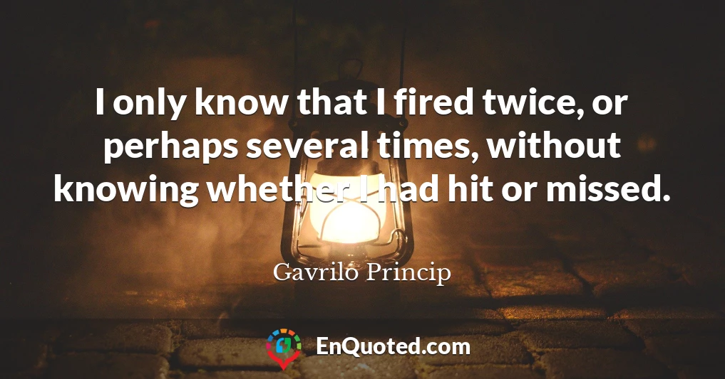 I only know that I fired twice, or perhaps several times, without knowing whether I had hit or missed.