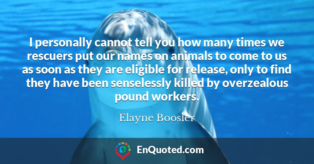I personally cannot tell you how many times we rescuers put our names on animals to come to us as soon as they are eligible for release, only to find they have been senselessly killed by overzealous pound workers.