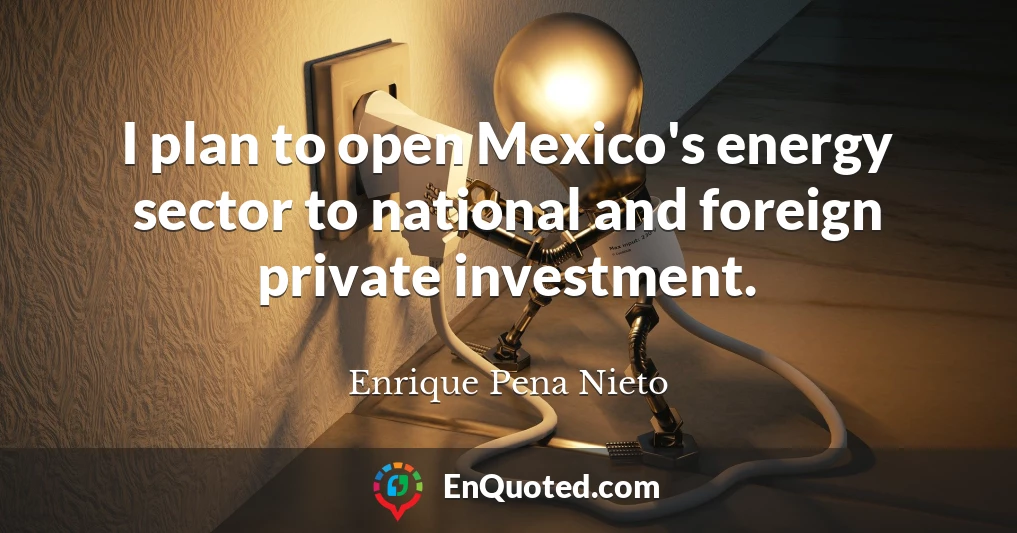 I plan to open Mexico's energy sector to national and foreign private investment.