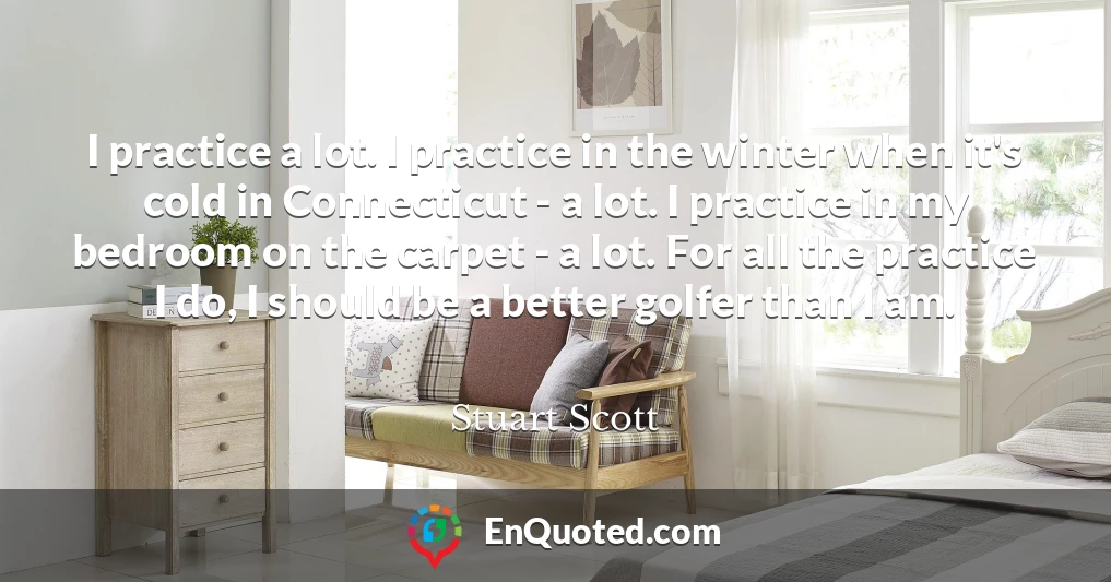 I practice a lot. I practice in the winter when it's cold in Connecticut - a lot. I practice in my bedroom on the carpet - a lot. For all the practice I do, I should be a better golfer than I am.