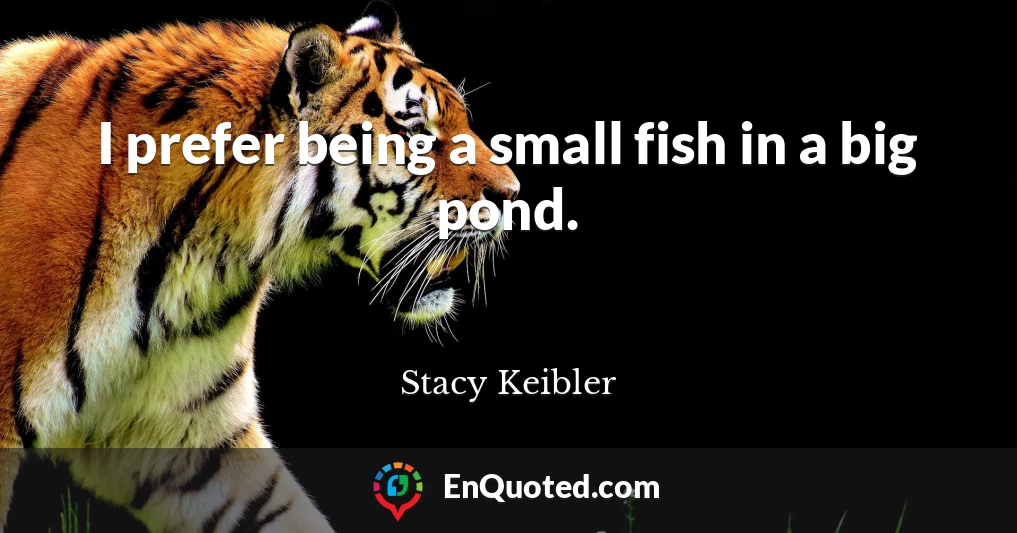 I prefer being a small fish in a big pond.