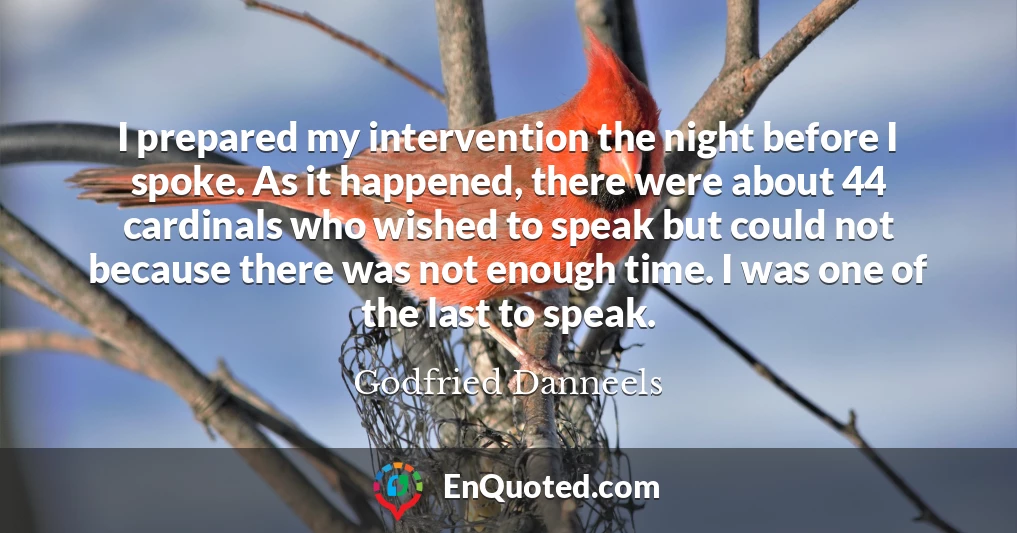 I prepared my intervention the night before I spoke. As it happened, there were about 44 cardinals who wished to speak but could not because there was not enough time. I was one of the last to speak.