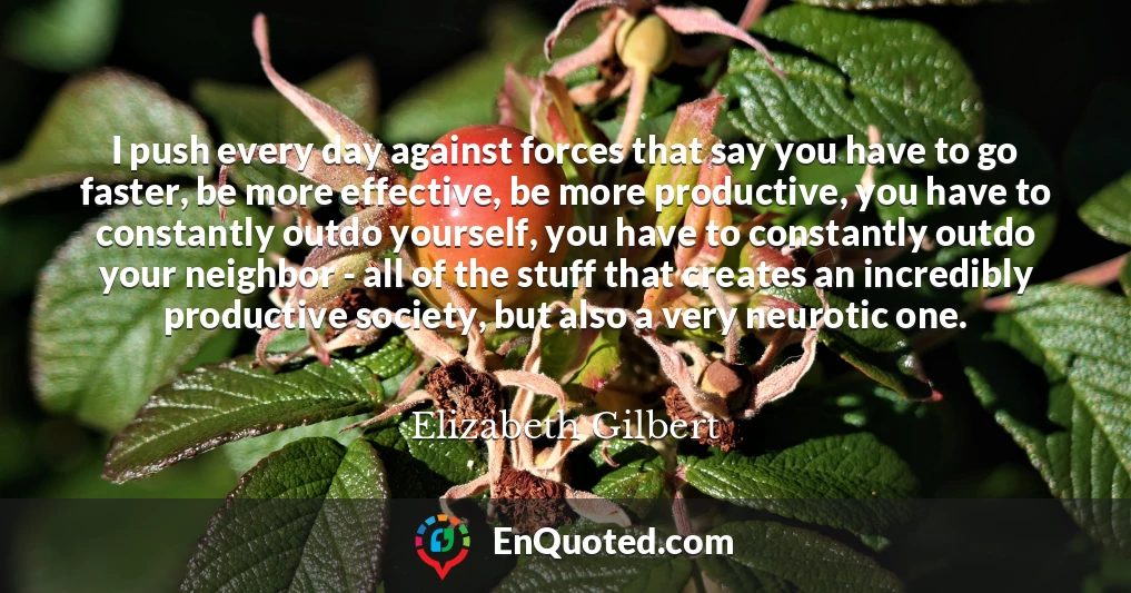 I push every day against forces that say you have to go faster, be more effective, be more productive, you have to constantly outdo yourself, you have to constantly outdo your neighbor - all of the stuff that creates an incredibly productive society, but also a very neurotic one.