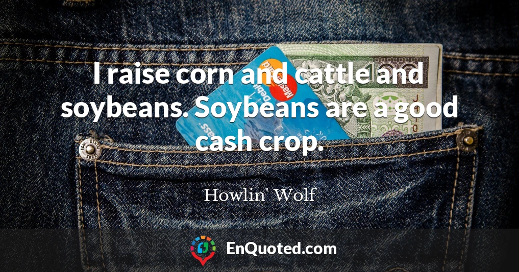 I raise corn and cattle and soybeans. Soybeans are a good cash crop.