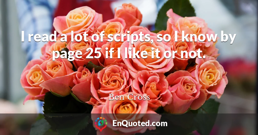I read a lot of scripts, so I know by page 25 if I like it or not.