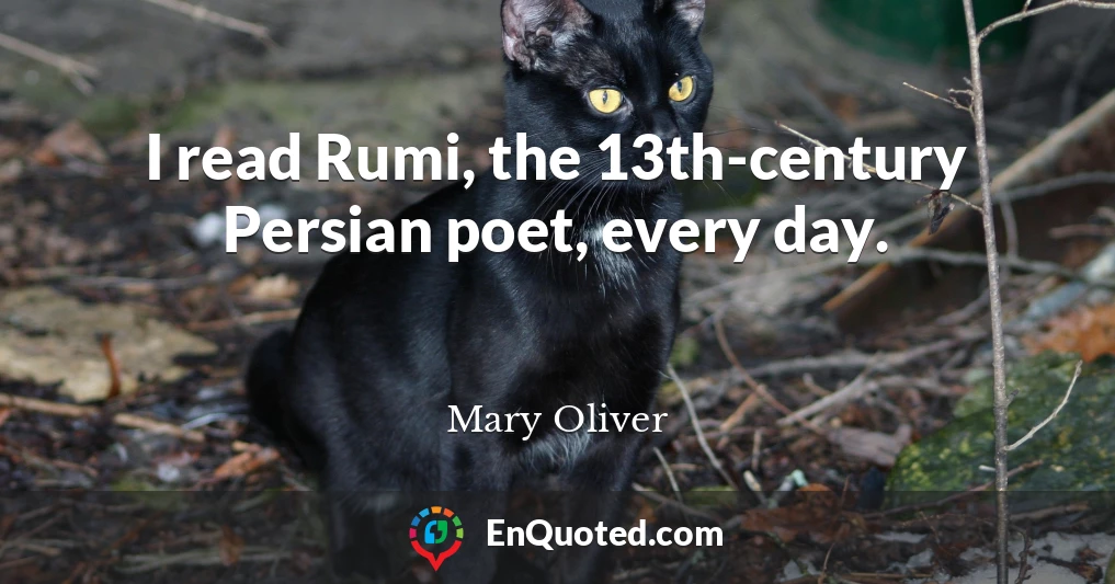 I read Rumi, the 13th-century Persian poet, every day.