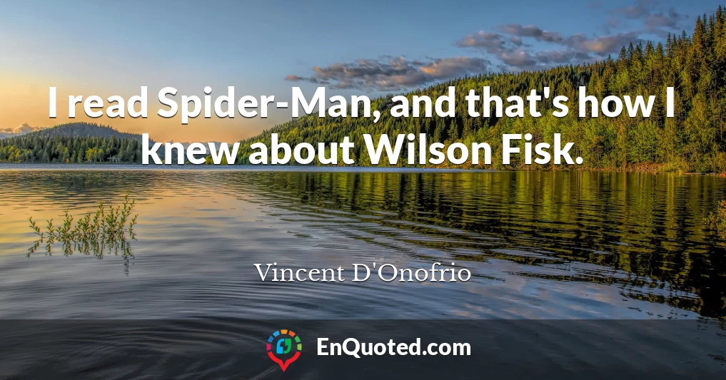 I read Spider-Man, and that's how I knew about Wilson Fisk.