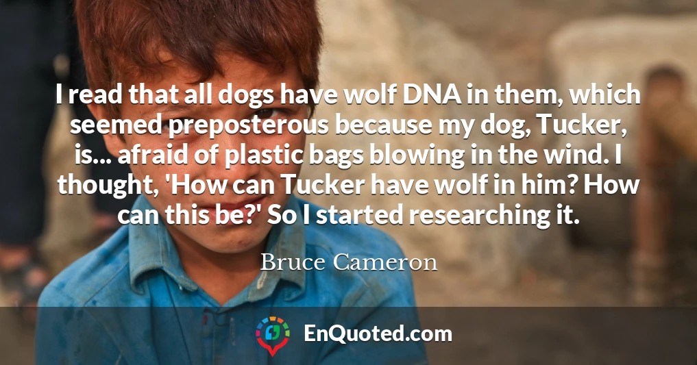 I read that all dogs have wolf DNA in them, which seemed preposterous because my dog, Tucker, is... afraid of plastic bags blowing in the wind. I thought, 'How can Tucker have wolf in him? How can this be?' So I started researching it.