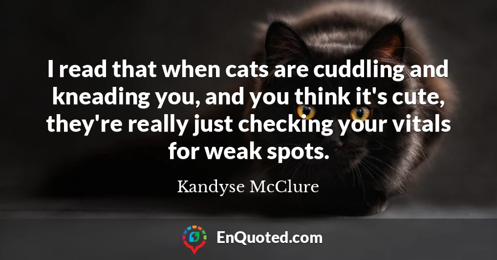I read that when cats are cuddling and kneading you, and you think it's cute, they're really just checking your vitals for weak spots.