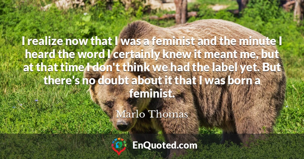 I realize now that I was a feminist and the minute I heard the word I certainly knew it meant me, but at that time I don't think we had the label yet. But there's no doubt about it that I was born a feminist.