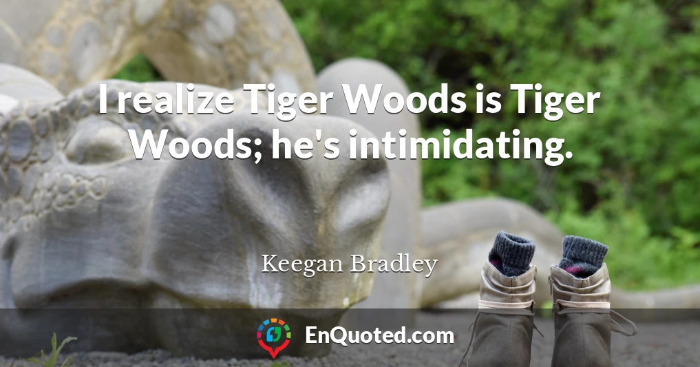 I realize Tiger Woods is Tiger Woods; he's intimidating.