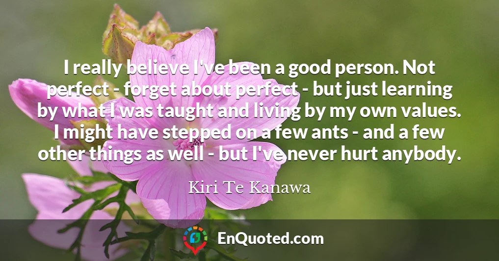 I really believe I've been a good person. Not perfect - forget about perfect - but just learning by what I was taught and living by my own values. I might have stepped on a few ants - and a few other things as well - but I've never hurt anybody.