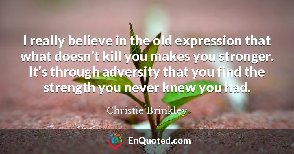I really believe in the old expression that what doesn't kill you makes you stronger. It's through adversity that you find the strength you never knew you had.