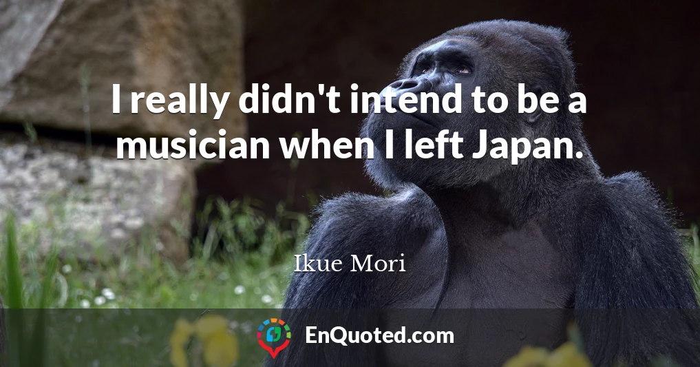 I really didn't intend to be a musician when I left Japan.