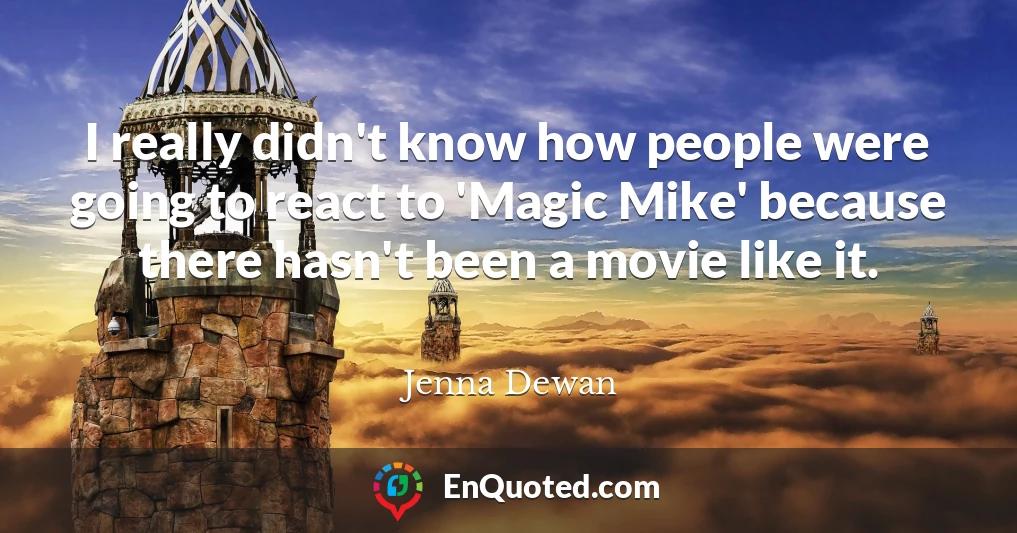 I really didn't know how people were going to react to 'Magic Mike' because there hasn't been a movie like it.
