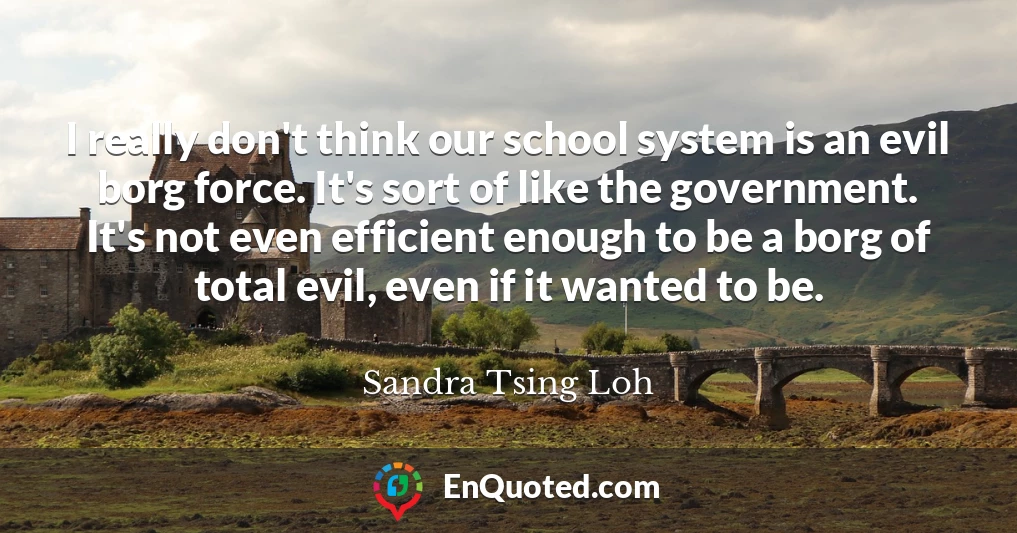 I really don't think our school system is an evil borg force. It's sort of like the government. It's not even efficient enough to be a borg of total evil, even if it wanted to be.