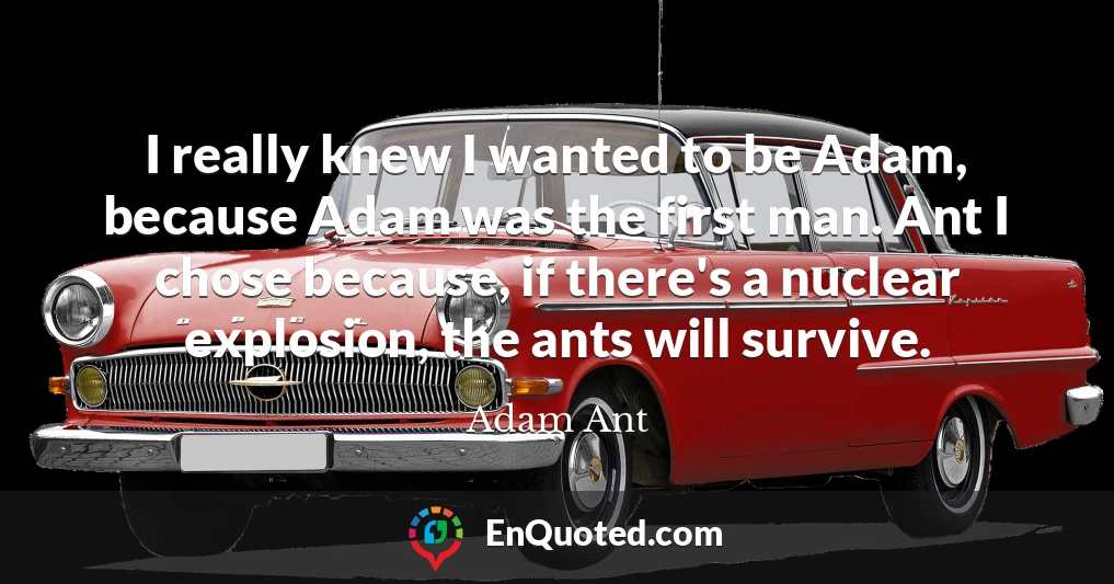 I really knew I wanted to be Adam, because Adam was the first man. Ant I chose because, if there's a nuclear explosion, the ants will survive.