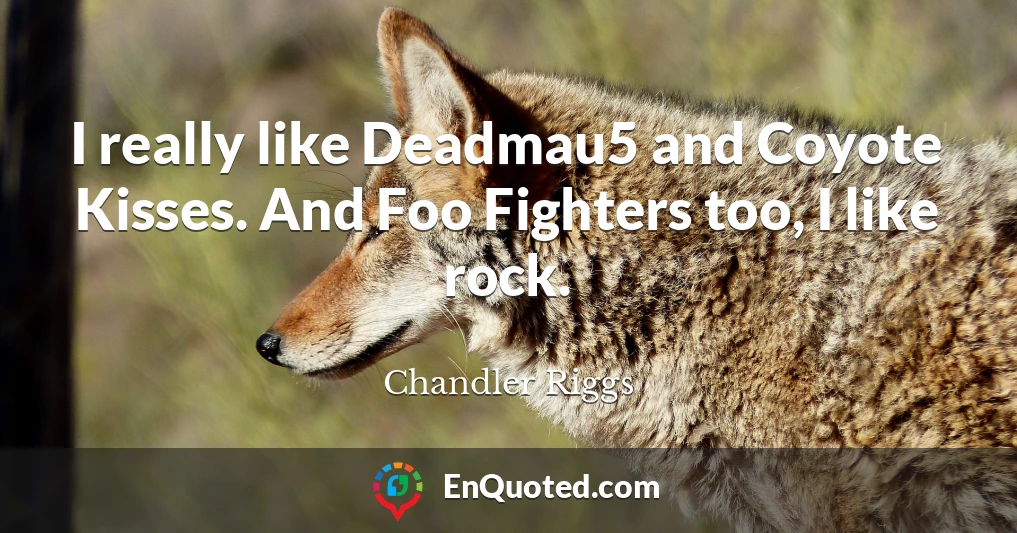 I really like Deadmau5 and Coyote Kisses. And Foo Fighters too, I like rock.