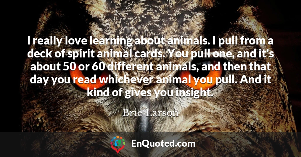 I really love learning about animals. I pull from a deck of spirit animal cards. You pull one, and it's about 50 or 60 different animals, and then that day you read whichever animal you pull. And it kind of gives you insight.