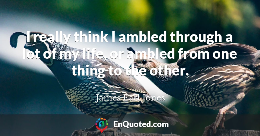 I really think I ambled through a lot of my life, or ambled from one thing to the other.